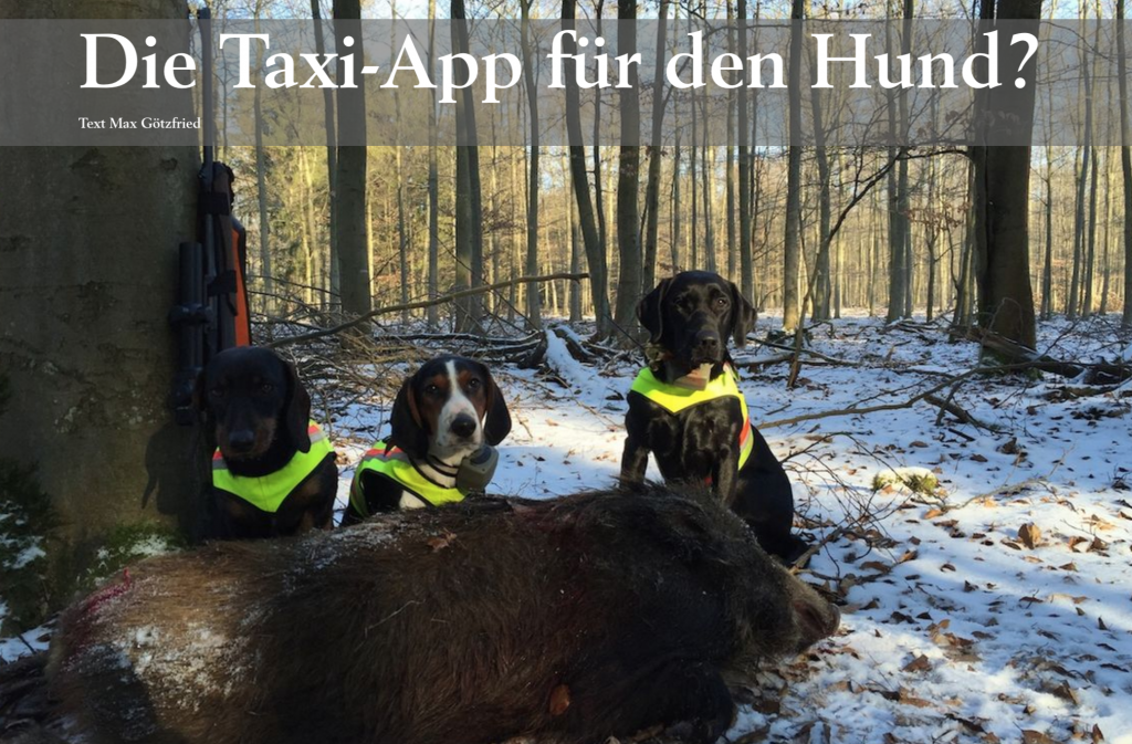 Taxi-App für den Hund